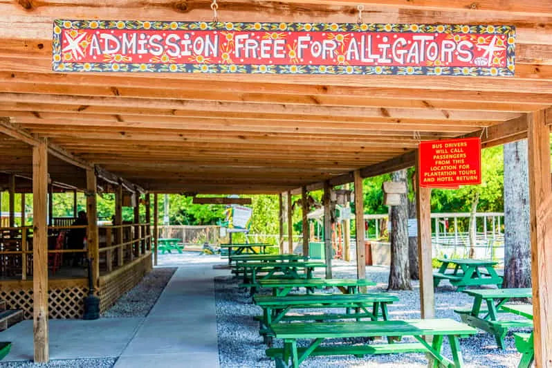 가족 친화적인 맨착 베이유 늪지대 뉴올리언스 보트 투어
