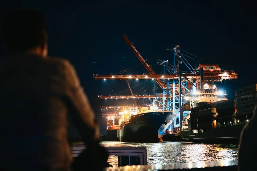 Rondvaart door Hamburg met avondzicht op de Speicherstadt