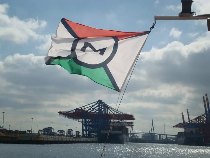 Rondvaart door Hamburg met live commentaar en audiogids