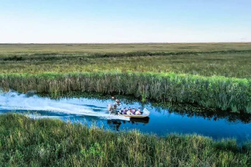 Miami hajókirándulás Everglades kalanddal és vadon élő állatokkal kapcsolatos programokkal