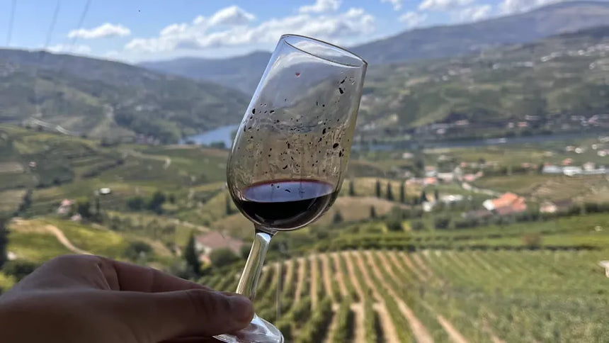 Portói hajókirándulás farmtól az asztalig ebéddel és borkóstolóval