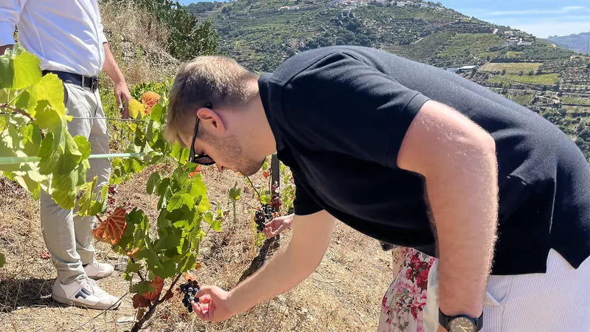 Portói hajókirándulás farmtól az asztalig ebéddel és borkóstolóval