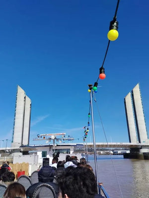 Bordeaux Boat Tour with Live Architectural Commentary