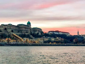 Croisière sur le Danube à Budapest avec boisson de bienvenue et guide audio