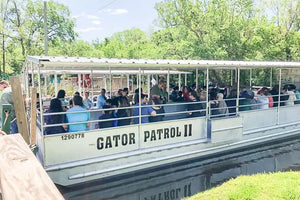 Family-Friendly New Orleans Boat Tour in the Manchac Bayou Swamp