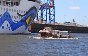 Hop-On Hop-Off Hamburg Boat Tour with Live Commentary