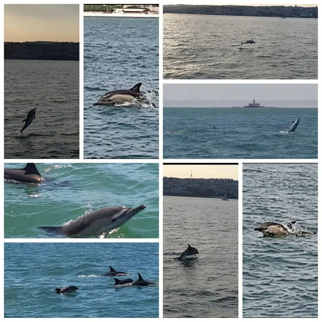 Lisbon Boat Tour with Green Wine and Evening Skyline Views