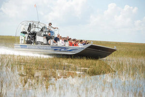 Miami Boat Tour Combined with Everglades Wildlife Adventure