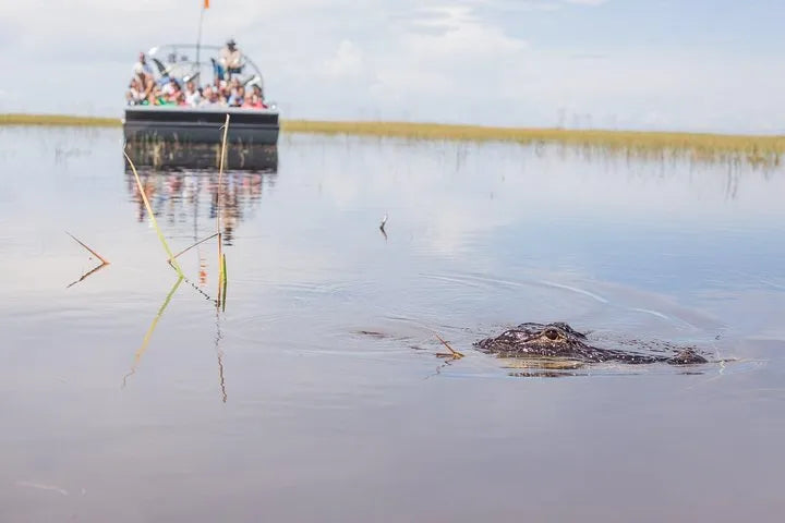 Miami Boat Tour Combined with Everglades Wildlife Adventure