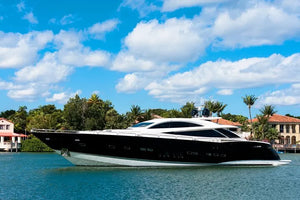 Miami Boat Tour of Celebrity Homes with Live Guide and Skyline Views