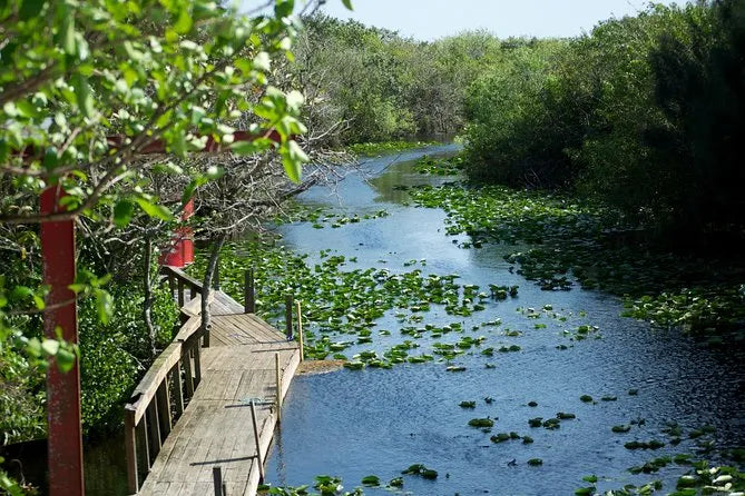 Miami Boat Tour with Alligator Wildlife Show and Airboat Experience