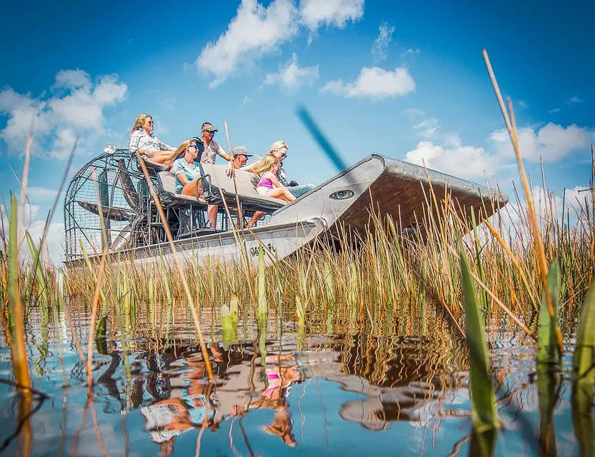 Miami Boat Tour with Everglades Adventure and Wildlife Activities