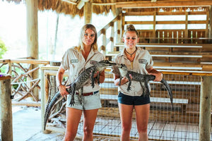 Miami Boat Tour with Everglades Adventure and Wildlife Activities