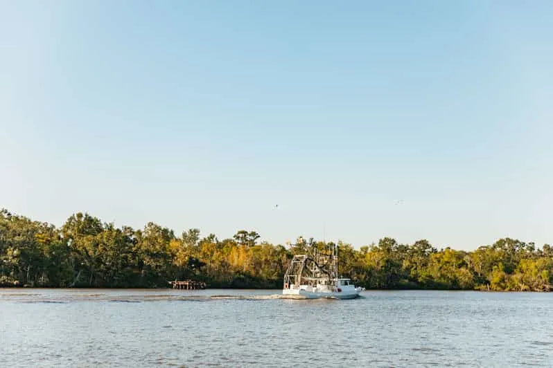 New Orleans Boat Tour Featuring Wildlife in the Barataria Swamps