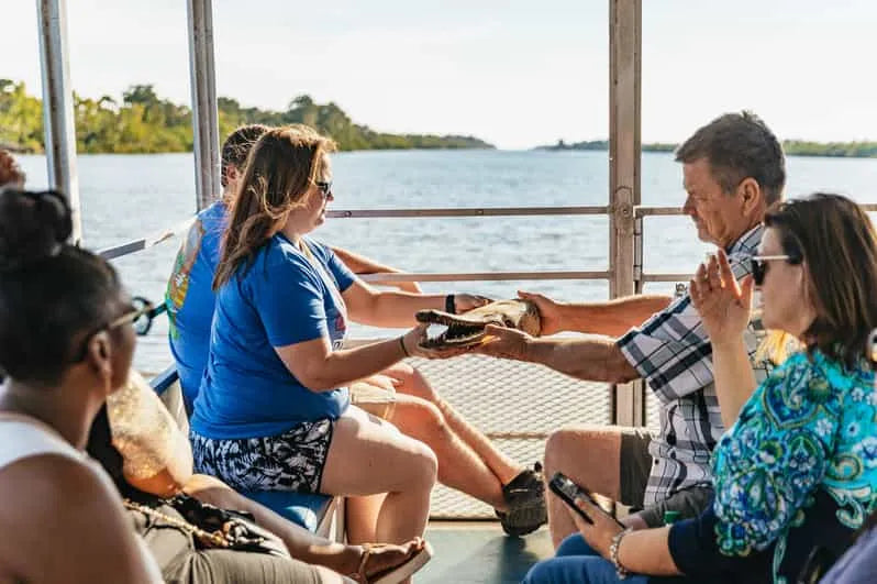 New Orleans Boat Tour Featuring Wildlife in the Barataria Swamps