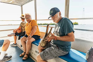 New Orleans Boat Tour Featuring Wildlife in the Barataria Swamps