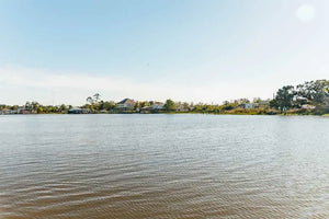 New Orleans Boat Tour Featuring Wildlife in the Barataria Swamps