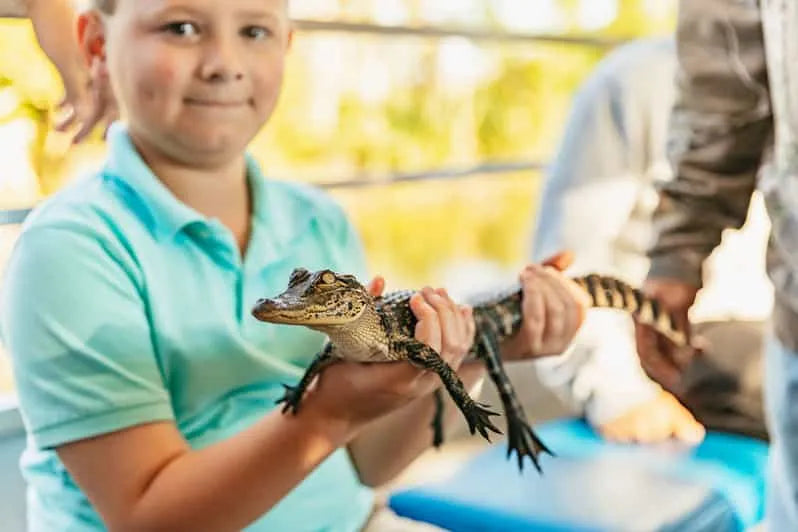 New Orleans Boat Tour Featuring Wildlife in the Barataria Swamps