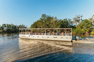 New Orleans Boat Tour Featuring Wildlife in the Barataria Swamps