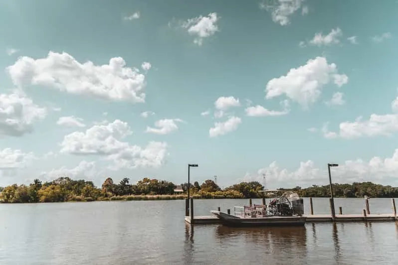 New Orleans Boat Tour Through Swamps with Wildlife and Alligator Sightings