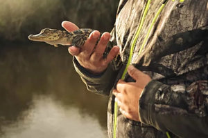 New Orleans Boat Tour Through Swamps with Wildlife and Alligator Sightings