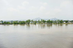 New Orleans Boat Tour on Steamboat Natchez with Optional Creole Lunch