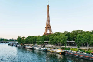 Paris Budget Dinner Cruise with Panoramic Views
