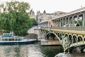 Paris Budget Dinner Cruise with Panoramic Views