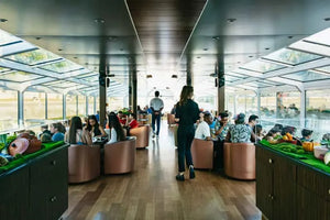 Paris Budget Dinner Cruise with Panoramic Views