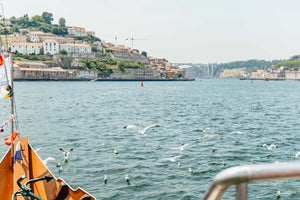 Porto Boat Tour with 6 Bridges History and City Views