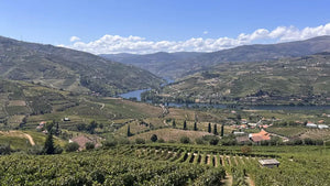 Porto Boat Tour with Farm-to-Table Lunch and Wine Tasting