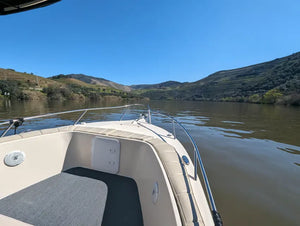 Porto Boat Tour with Farm-to-Table Lunch and Wine Tasting