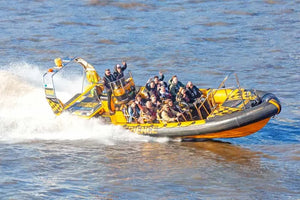 Croisière en bateau à grande vitesse sur la Tamise à Londres avec commentaires en direct (Thames Ribs)